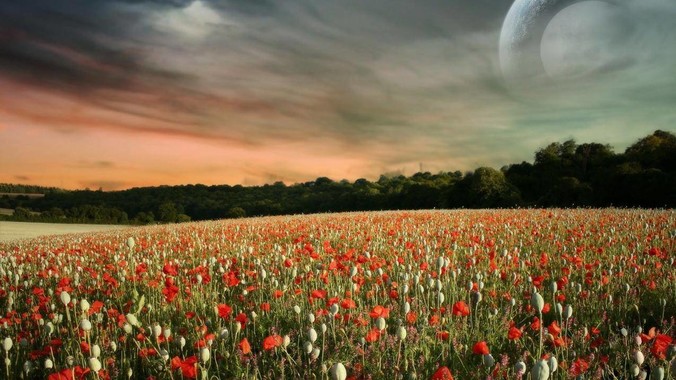 如果战争爆发，中国普通老百姓枪都不会打该怎样自卫？